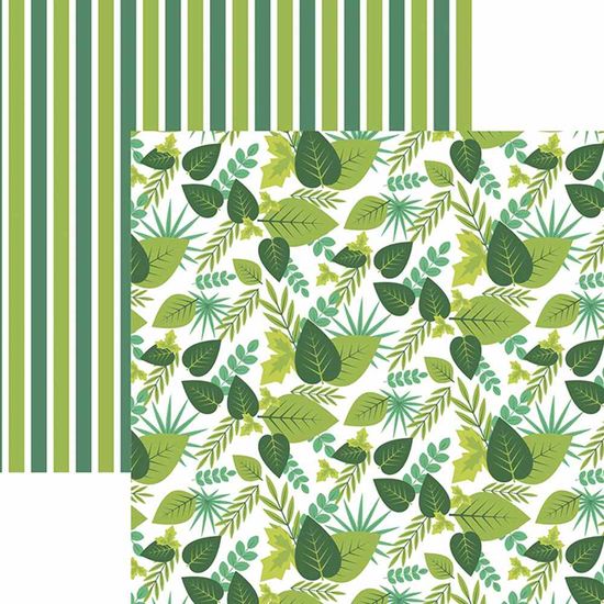 Papel Scrapbook Toke e Crie SDF833 30,5x30,5cm Folhagem Tons de Verde By Ivy Larrea