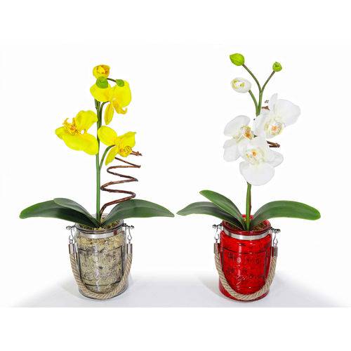 Par Vasos Arranjo Sintético de Orquídeas em Vaso de Vidro