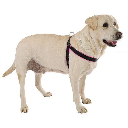 Peitoral Ferplast Agila Fluo para Cães Amarelo e Preto - 6 (cintura 57 - 65cm, 2,5cm)