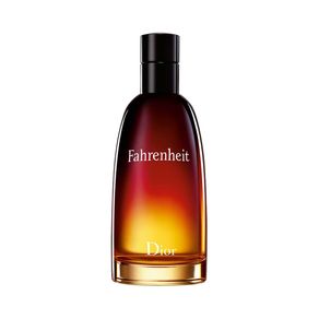 Perfume Fahrenheit Masculino Dior Eau de Toilette 50ml