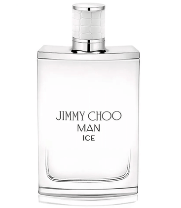 Perfume Jimmy Choo Man Ice Eau de Toilette Masculino 30ml