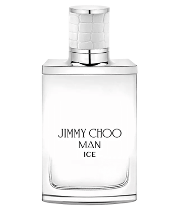 Perfume Jimmy Choo Man Ice Eau de Toilette Masculino 100ml