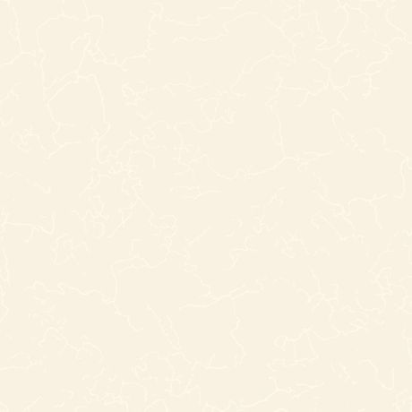 Piso Cerâmico Rox Elegance Khaki Cristal Brilhante 57x57