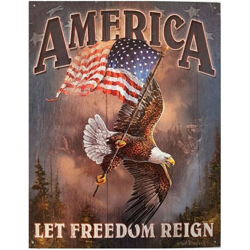 Placa de Metal America Aguia da Liberdade