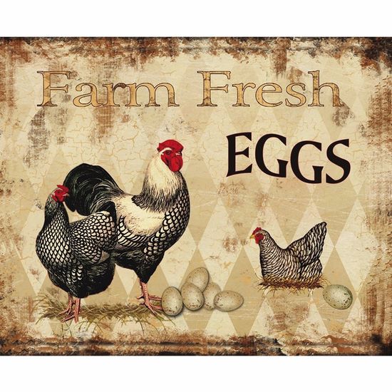 Placa Decorativa 24,5x19,5cm Farm Fresh Eggs LPMC-068 - Litocart