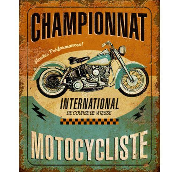 Placa Decorativa em MDF Litoarte DHPM-211 24x19cm Placa Moto Championnat