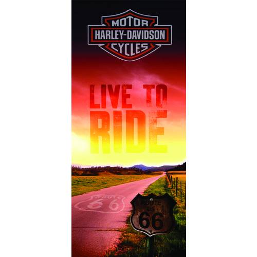 Placa Decorativa em MDF - Live To Ride