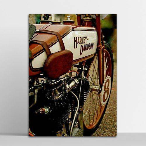 Placa Decorativa Harley Davidson 6 30x40cm