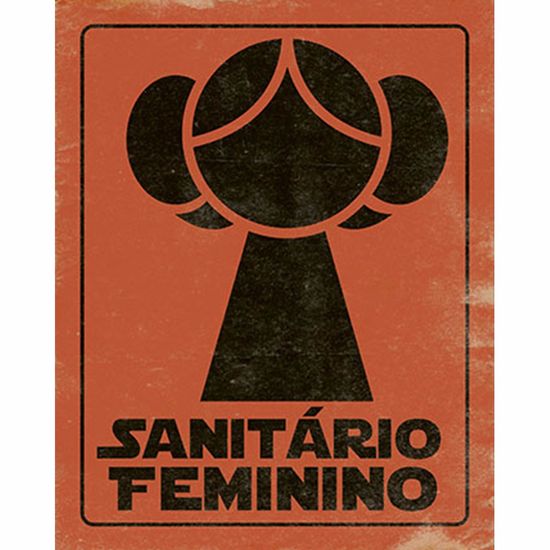 Placa Decorativa Litoarte DHPM-207 24x19cm Sanitário Feminino