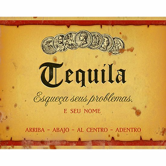 Placa Decorativa Litoarte DHPM-249 24x19cm Rótulo Tequila