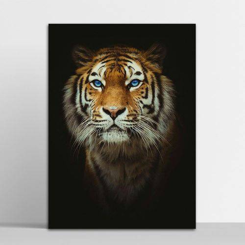 Placa Decorativa Tigre 2 20x30cm