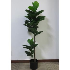 Planta Ficus-lira 125cm Natural C/pote St38901 Ndi