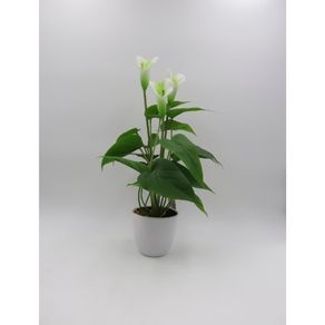 Planta Mini Lirio Branco C/pote St38889 Ndi