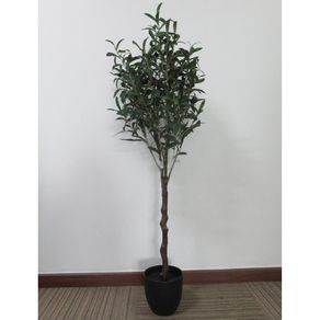 Planta Oliveira 1,23cm Natural C/pote St38900 Ndi