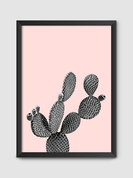 Poster Cactus A3 C/ Moldura