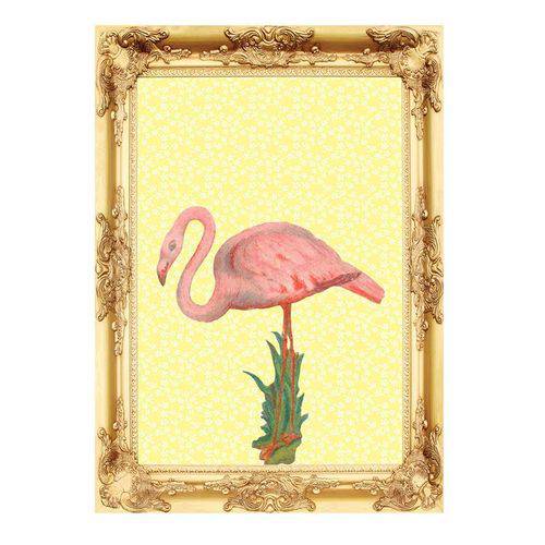 Pôster Flamingo 50x70 S/ Moldura - Rice