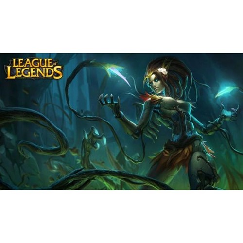 Poster League Of Legends #I 30x42cm