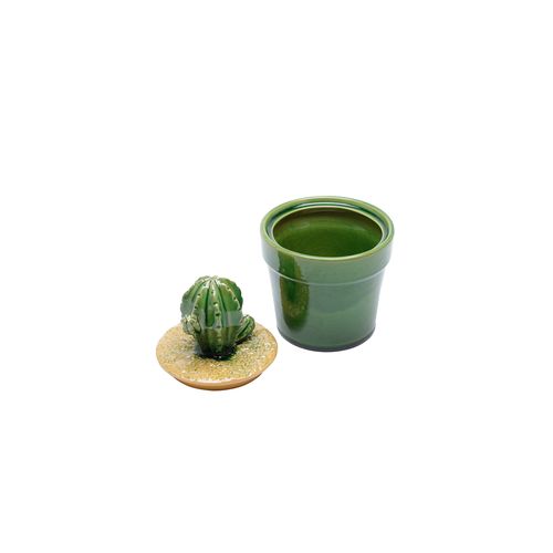 Pote de Cerâmica para Decoração Lyor Cactos 13,2x18,8cm Verde