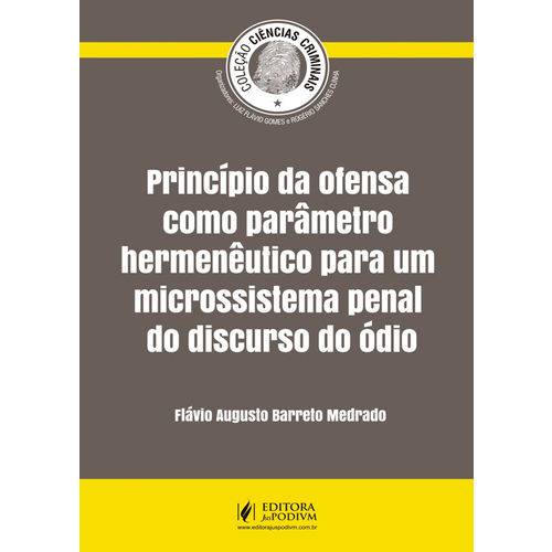 Princípio da Ofensa Como Parâmetro Hermenêutico para um Microssistema Penal do Discurso do Ódio