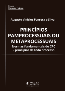 Princípios Pamprocessuais ou Metaprocessuais (2019)