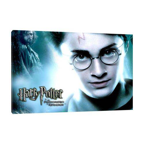 Quadro de Filmes e Series Harry Potter I 95x63cm