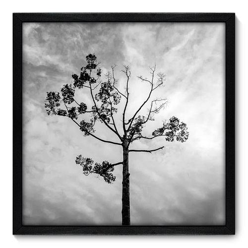 Quadro Decorativo - Árvore - 50cm X 50cm - 014qnpcp