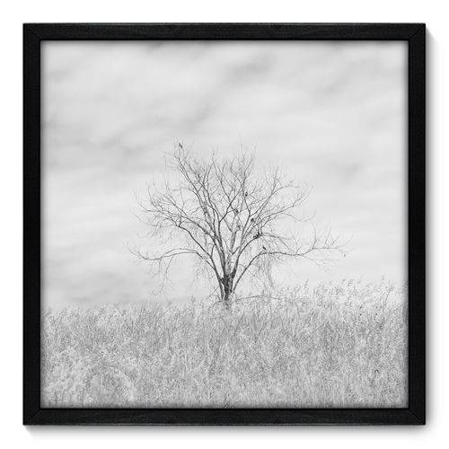 Quadro Decorativo - Árvore - 50cm X 50cm - 034qnpcp