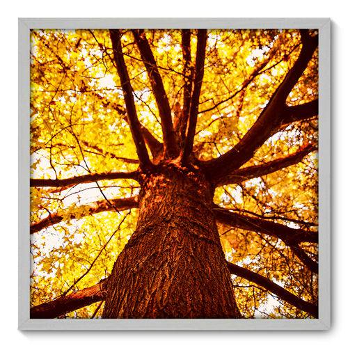 Quadro Decorativo - Árvore - 70cm X 70cm - 030qnddb