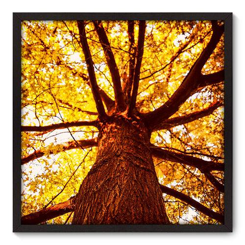 Quadro Decorativo - Árvore - 70cm X 70cm - 030qnddp