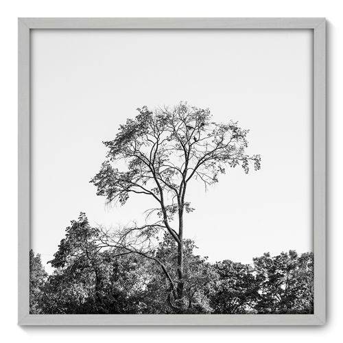 Quadro Decorativo - Árvore - 70cm X 70cm - 030qnpdb