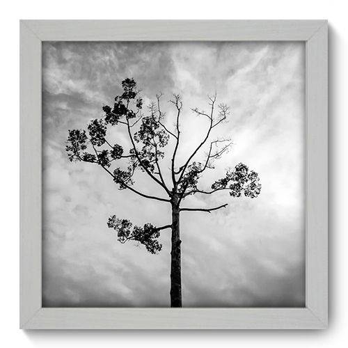 Quadro Decorativo - Árvore - 22cm X 22cm - 014qnpab