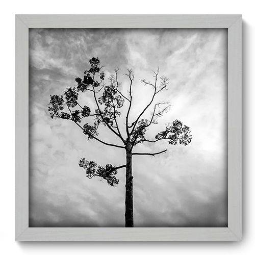 Quadro Decorativo - Árvore - 33cm X 33cm - 014qnpbb