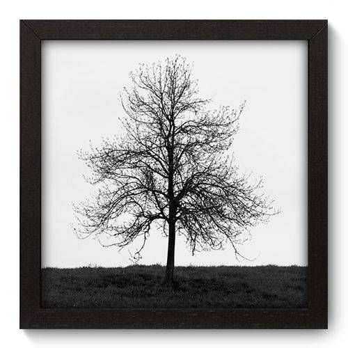 Quadro Decorativo - Árvore - 22cm X 22cm - 013qnpap