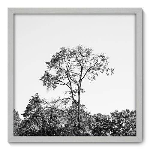 Quadro Decorativo - Árvore - N3030 - 50cm X 50cm