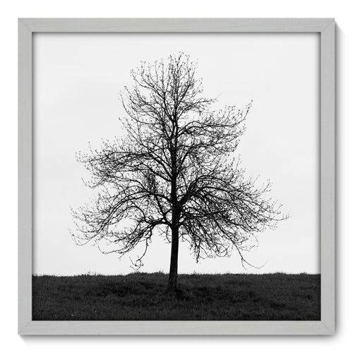 Quadro Decorativo - Árvore - N3013 - 50cm X 50cm