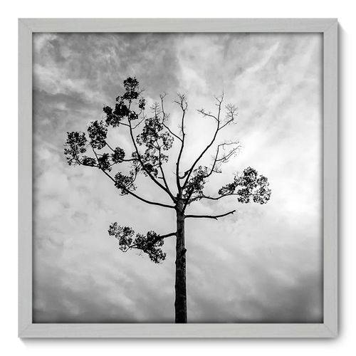 Quadro Decorativo - Árvore - N3014 - 50cm X 50cm