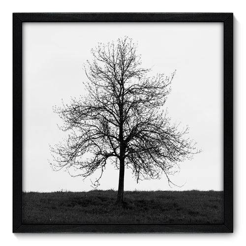 Quadro Decorativo - Árvore - N7013 - 50cm X 50cm