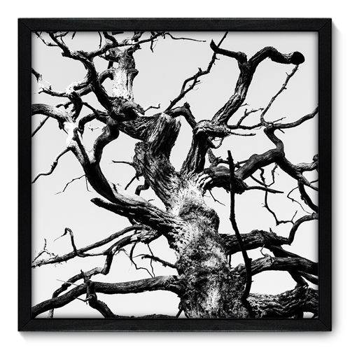 Quadro Decorativo - Árvore - N7043 - 50cm X 50cm