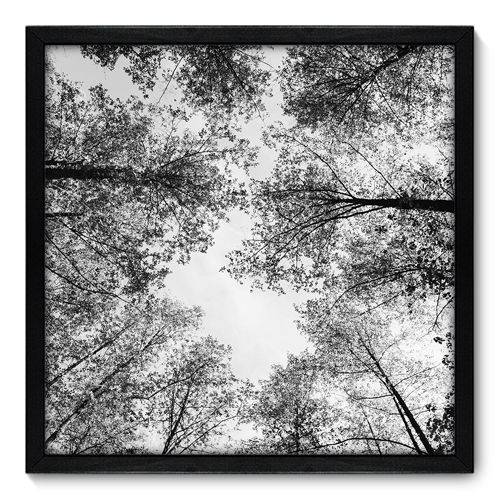 Quadro Decorativo - Árvore - N7054 - 50cm X 50cm