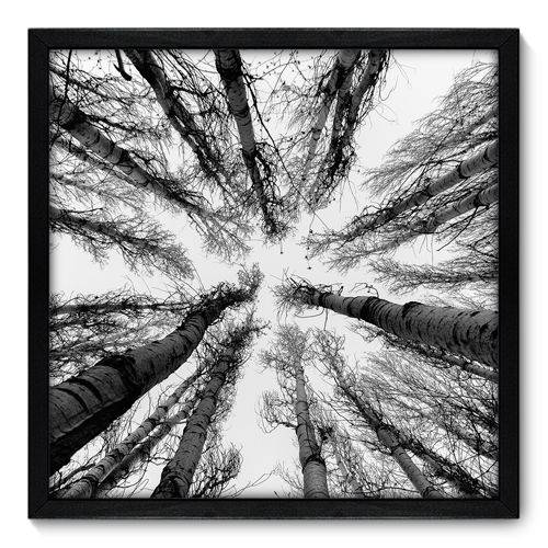 Quadro Decorativo - Árvores - 50cm X 50cm - 056qnpcp