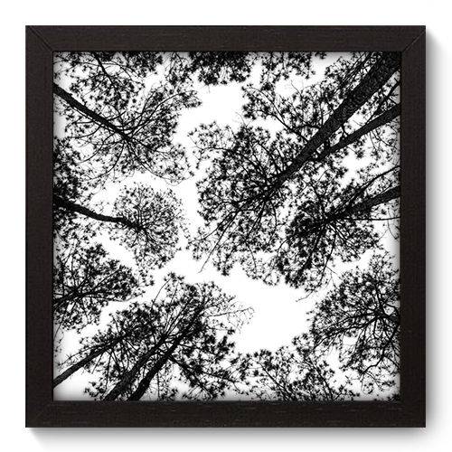 Quadro Decorativo - Árvores - 22cm X 22cm - 041qnpap