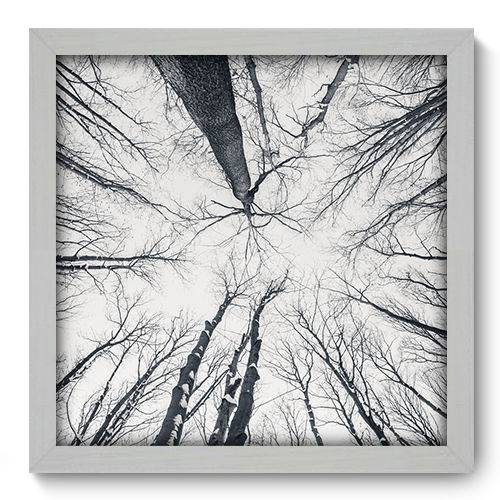 Quadro Decorativo - Árvores - 33cm X 33cm - 044qnpbb