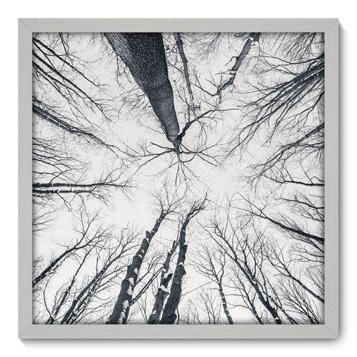 Quadro Decorativo - Árvores - N3044 - 50cm X 50cm