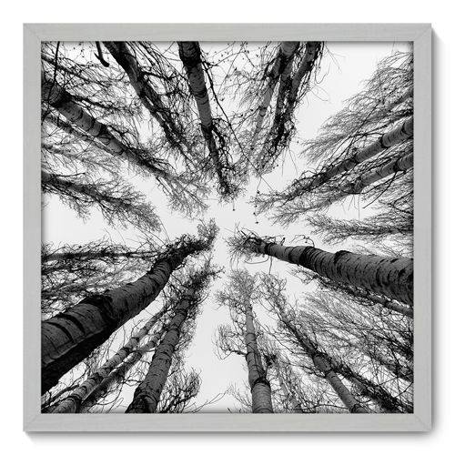 Quadro Decorativo - Árvores - N3056 - 50cm X 50cm