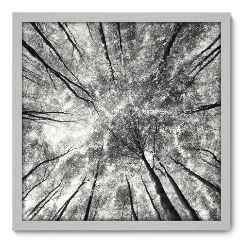 Quadro Decorativo - Árvores - N3036 - 50cm X 50cm