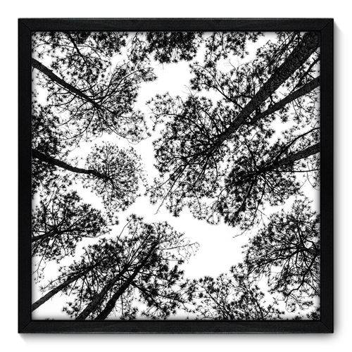 Quadro Decorativo - Árvores - N7041 - 50cm X 50cm