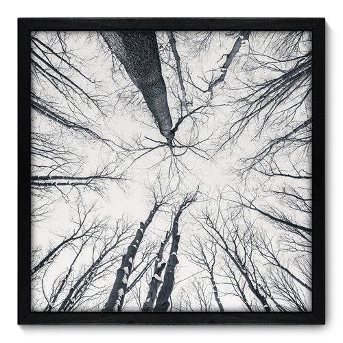 Quadro Decorativo - Árvores - N7044 - 50cm X 50cm