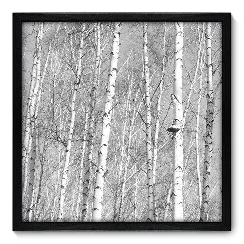 Quadro Decorativo - Árvores - N7045 - 50cm X 50cm