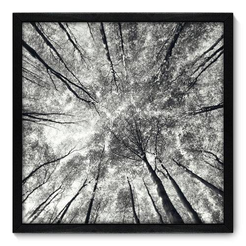 Quadro Decorativo - Árvores - N7036 - 50cm X 50cm
