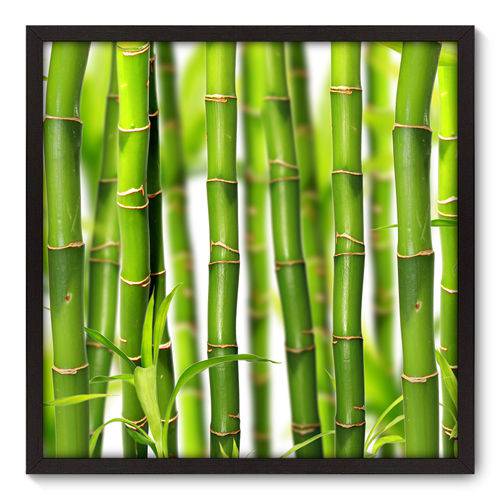 Quadro Decorativo - Bambu - 70cm X 70cm - 009qnddp